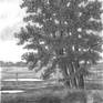 view additional image 1