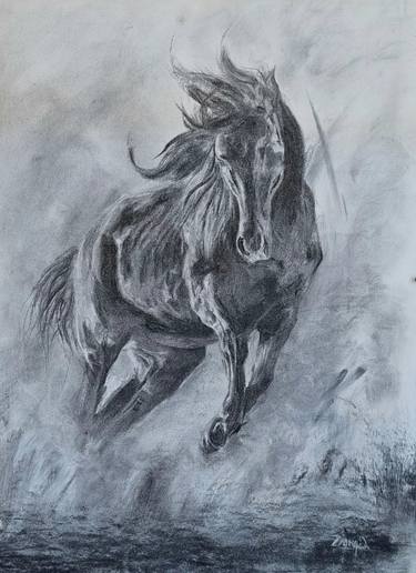 Original Horse Drawings by Zoha Qasim