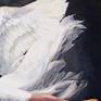 a detail