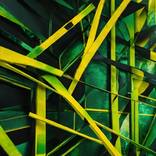 Collection Green Yellow Black
