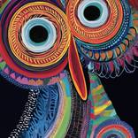 Collection Eyes