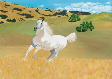 Original Contemporary Horse Paintings by Maya Dandachi