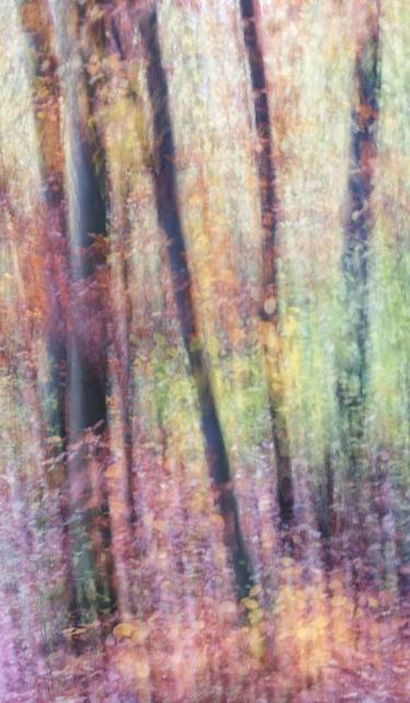 Print of Abstract Nature Photography by Ina Bichescu