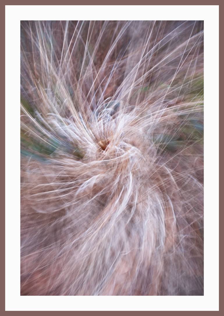 Original Contemporary Abstract Photography by Ina Bichescu