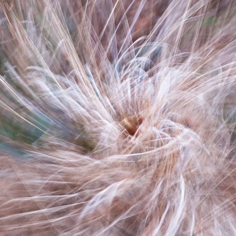 Original Contemporary Abstract Photography by Ina Bichescu