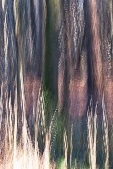 Print of Abstract Nature Photography by Ina Bichescu