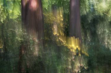 Original Abstract Garden Photography by Ina Bichescu