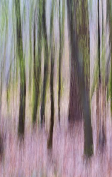Original Abstract Nature Photography by Ina Bichescu