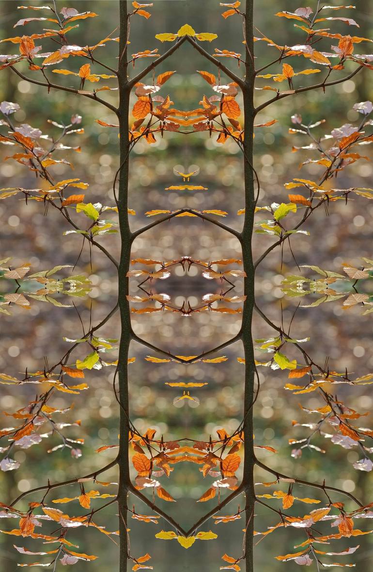 Original Abstract Botanic Photography by Ina Bichescu