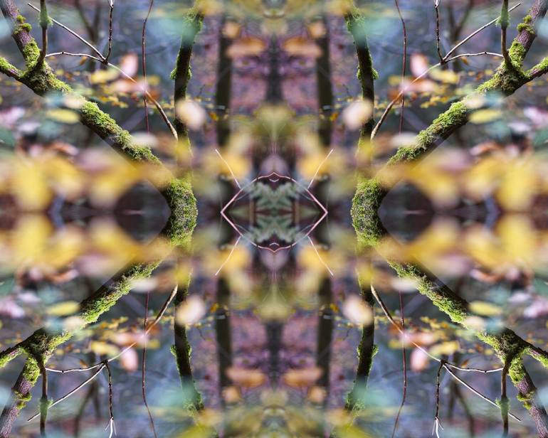 Original Fractal Abstract Digital by Ina Bichescu