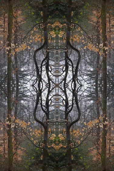 Original Art Deco Abstract Photography by Ina Bichescu