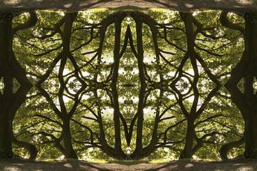 Original Digital Art Abstract Photography by Ina Bichescu