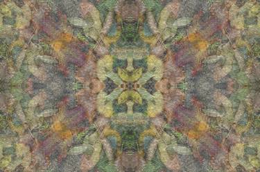 Original Fractal Abstract Photography by Ina Bichescu