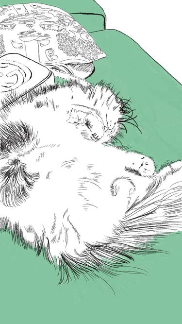 Original Contemporary Animal Digital by Rachel Mclaughlin