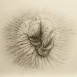 Notitle by francesca ferreri