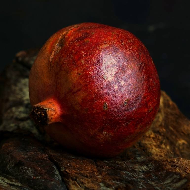 Original Expressionism Still Life Photography by Roberto Cavazzuti Redrumstudio