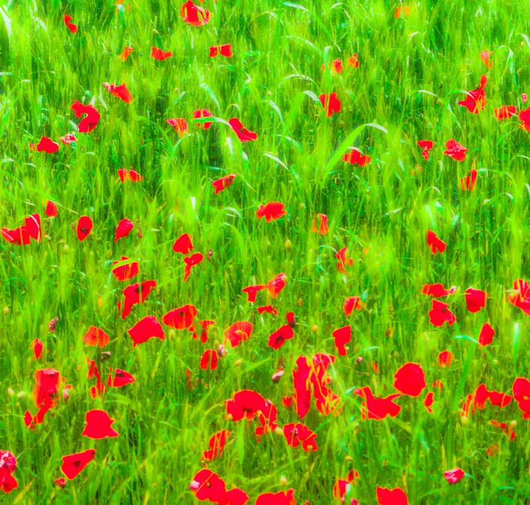 Original Contemporary Abstract Photography by Roberto Cavazzuti Redrumstudio
