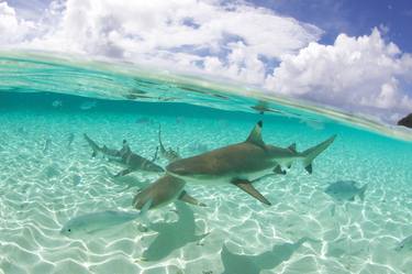 Original Documentary Water Photography by Anna Onderkova