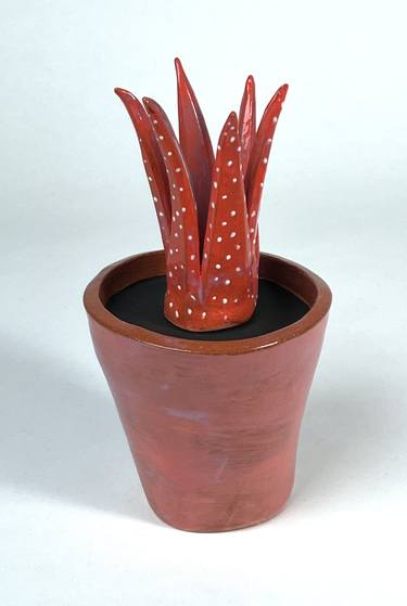 Red and White Spotted Potted Plant thumb