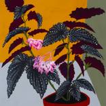 Collection Curator Picks: Canvas Prints