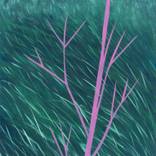 Collection Classic Mid-Century