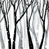 Collection Digital Drawings