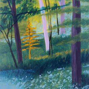Collection Landscapes