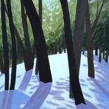Collection Landscapes
