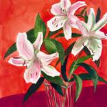 Collection Works on Paper