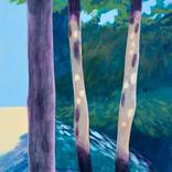Trees in Shade by Michael Pfleghaar