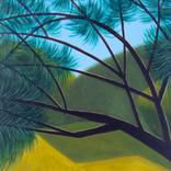 Tamarisk by Michael Pfleghaar