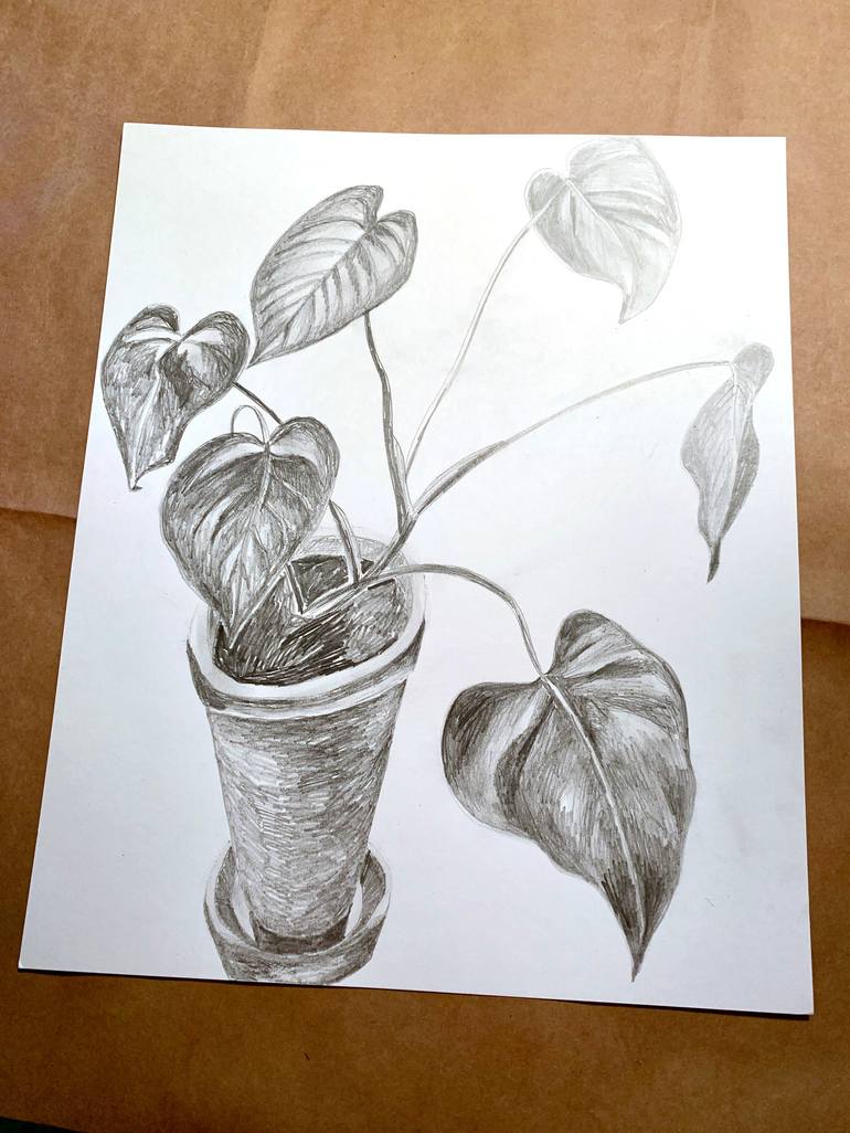 Original Abstract Botanic Drawing by Michael Pfleghaar