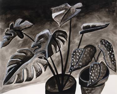 Original Botanic Paintings by Michael Pfleghaar