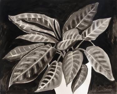 Original Botanic Paintings by Michael Pfleghaar