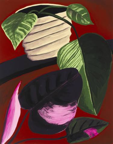 Pink and Green Philodendron thumb