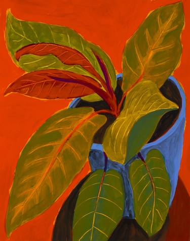 Philodendron on Orange thumb