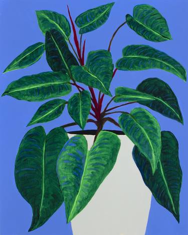 Philodendron on Royal Blue thumb