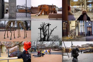 Original Documentary Animal Photography by Aleksejs Kuznecovs