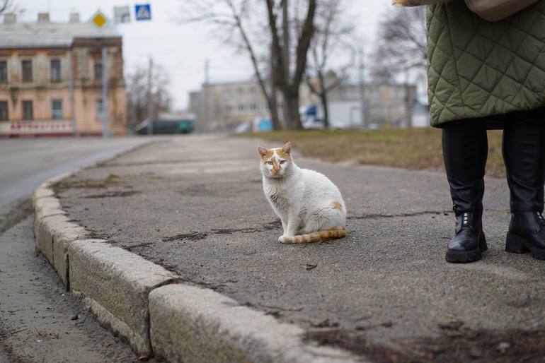 Original Documentary Animal Photography by Aleksejs Kuznecovs