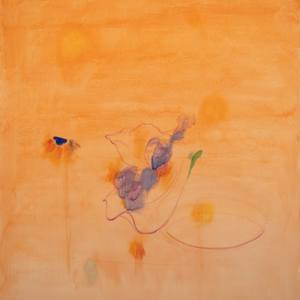 Collection The Poets