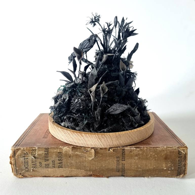 Original Black & White Nature Sculpture by Janet Ormond