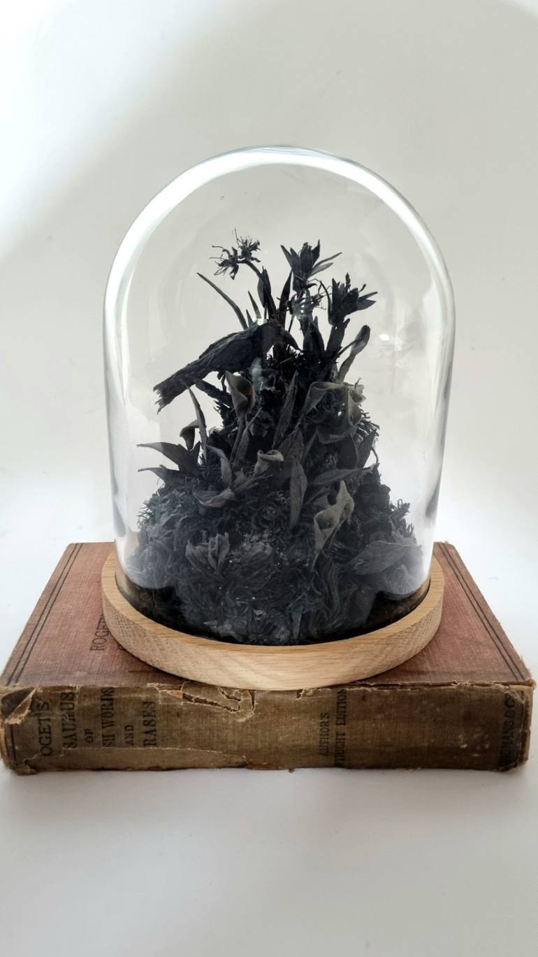 Original Black & White Nature Sculpture by Janet Ormond