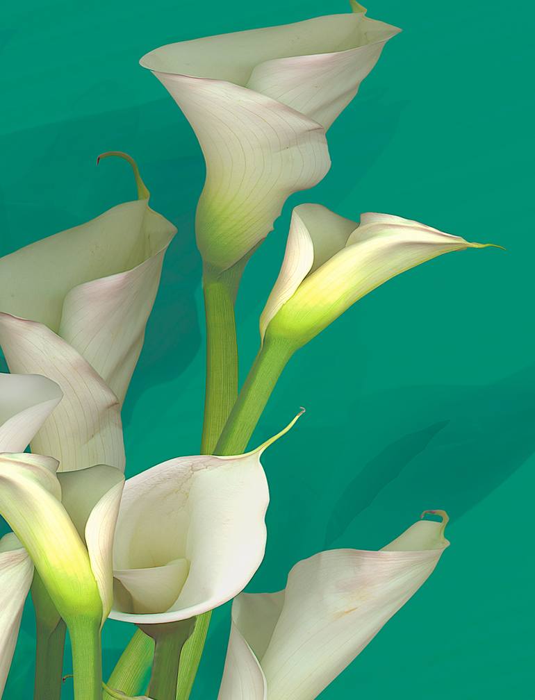 Original Conceptual Floral Photography by Patrick Beilman