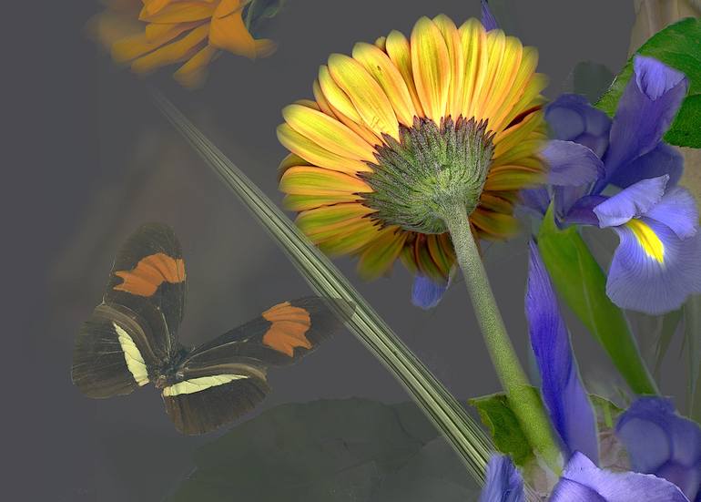 Original Conceptual Floral Photography by Patrick Beilman