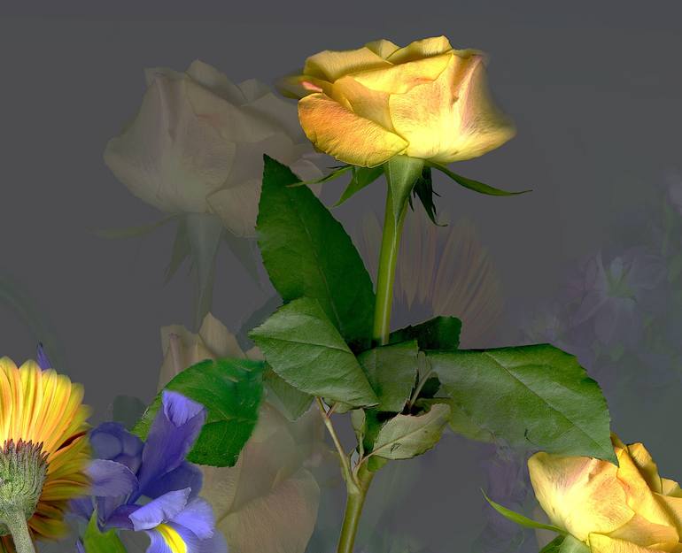 Original Conceptual Floral Photography by Patrick Beilman