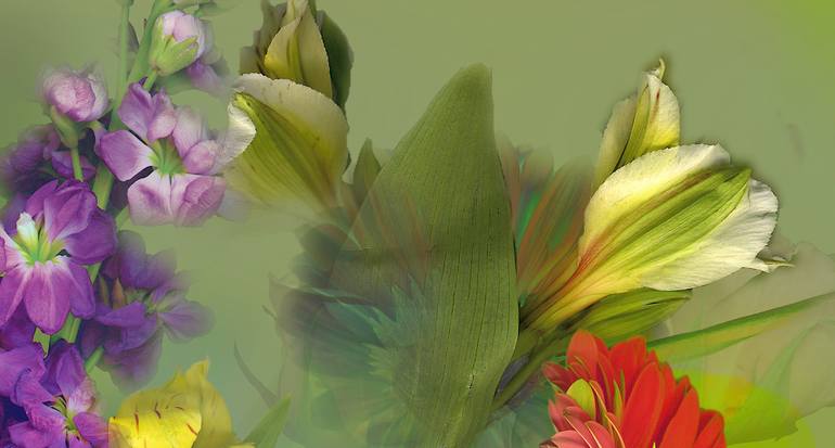 Original Conceptual Floral Photography by Patrick Beilman