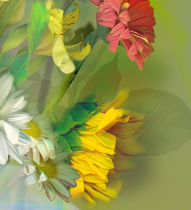 Original Conceptual Floral Photography by Patrick Beilman