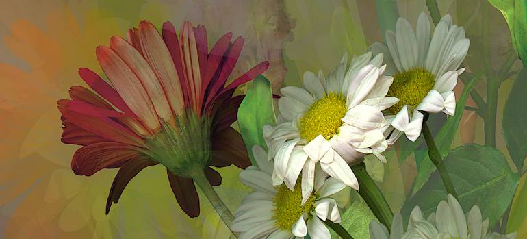 Original Conceptual Floral Photography by Patrick Beilman