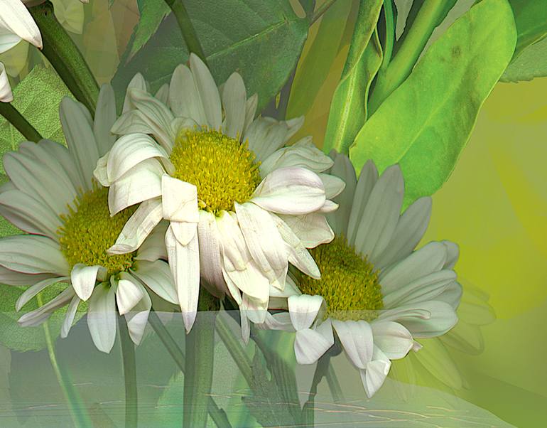 Original Conceptual Floral Photography by Patrick Beilman