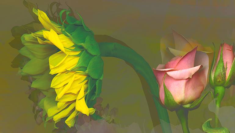 Original Conceptual Floral Photography by Patrick Beilman